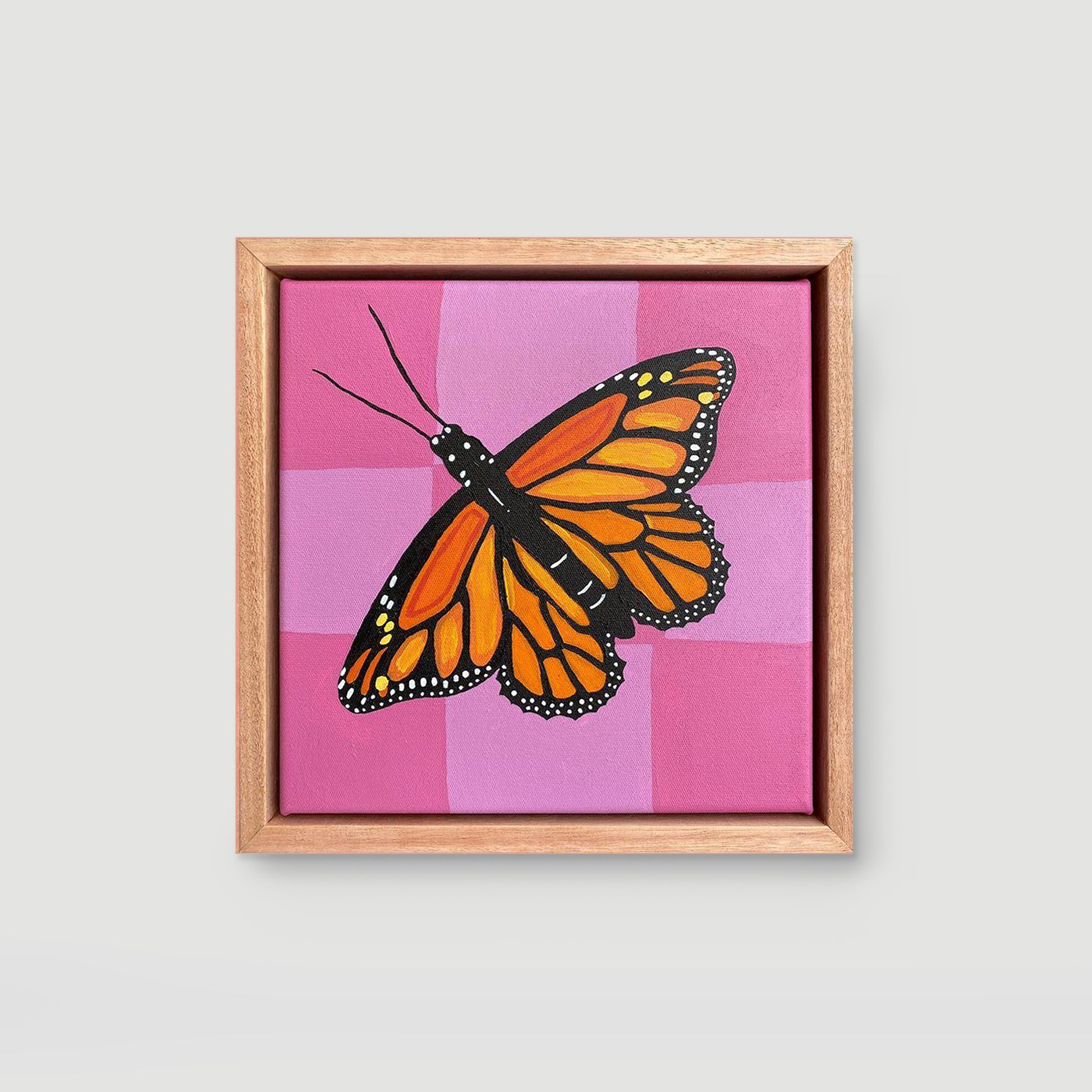 Monarch butterfly with pink checks