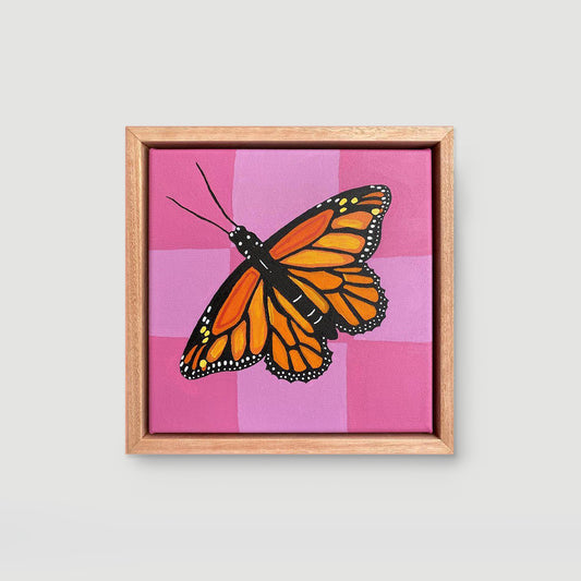 Monarch butterfly with pink checks